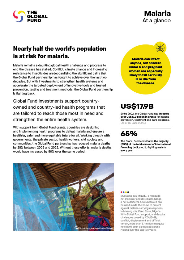Malaria At a Glance (2024)